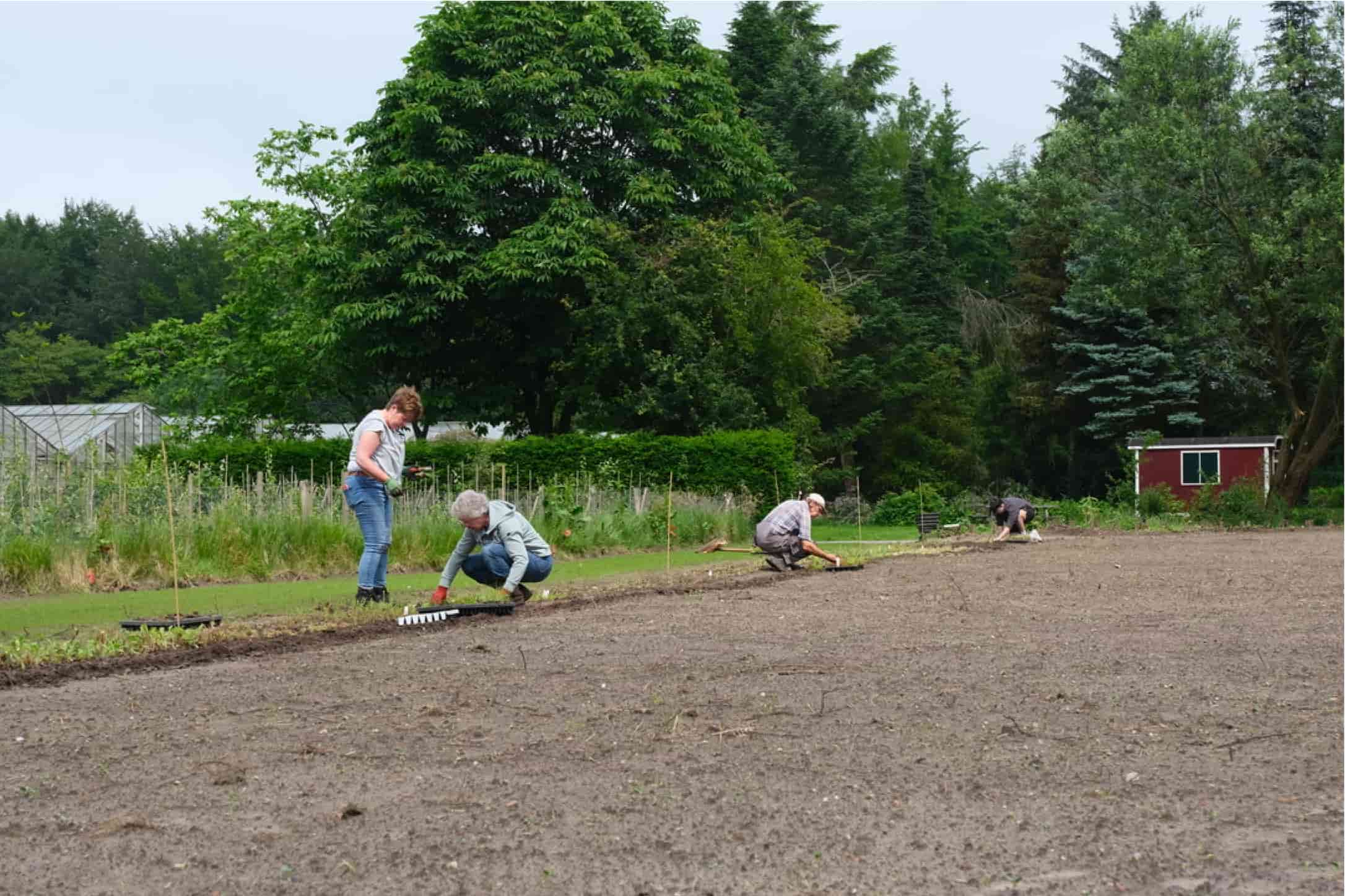 Vrijwilligerswerk bij DE PROEF